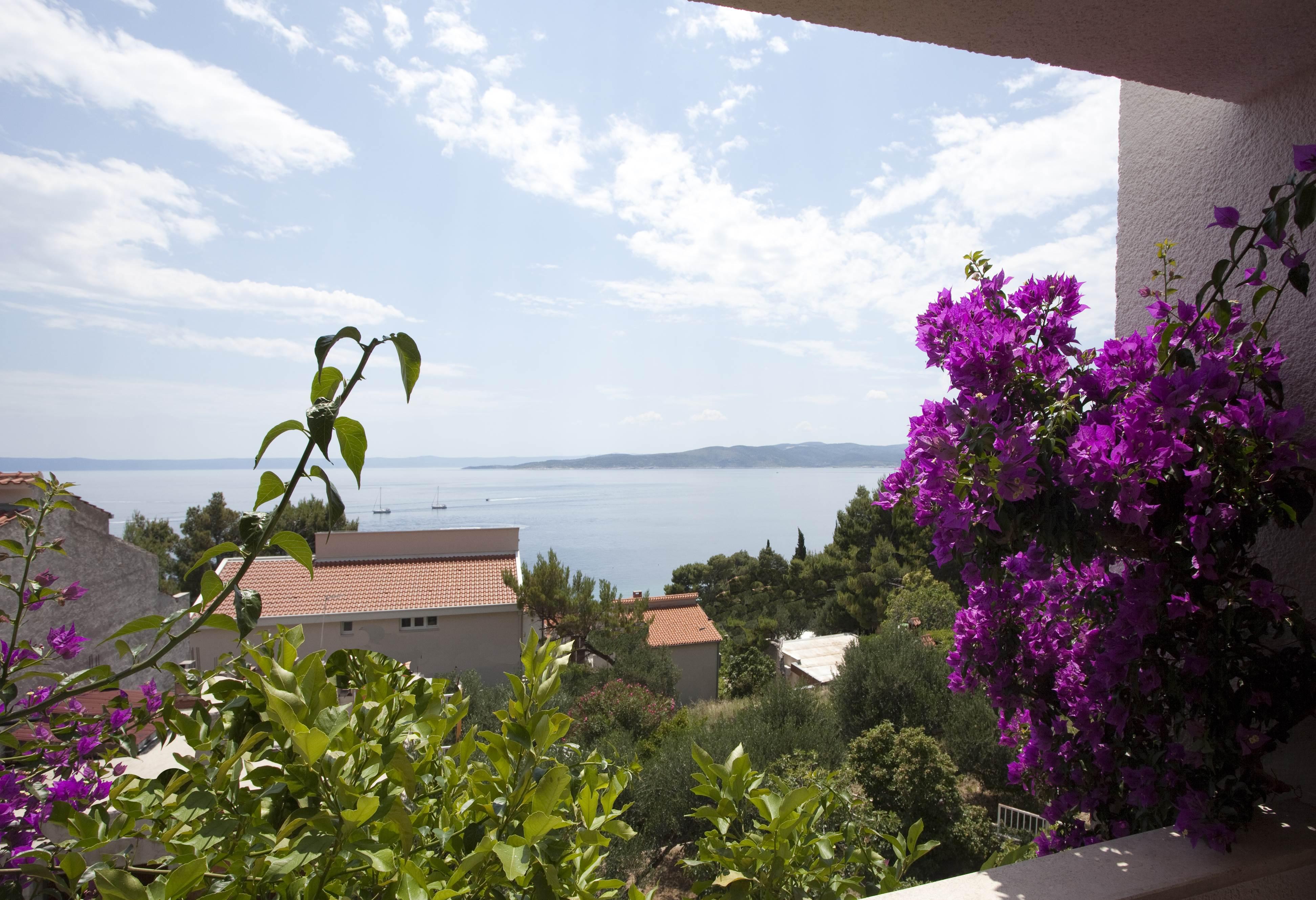 Villa Skalinada, 8 Persons, Private Pool, 巴什卡沃达 外观 照片